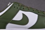 Nike Dunk Low Medium Olive Dd1503-120