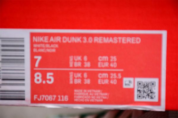 Nike Dunk Low Remastered Unlock Fj7067-116