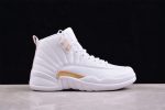 Air Jordan 12 ¡°Phantom¡± Fd9101-007
