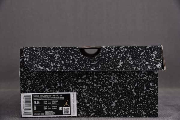 Air Jordan 4 Canyon Purple Aq9129-500