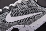 Nike Kobe 9 Elite Low Beethoven 639045-101