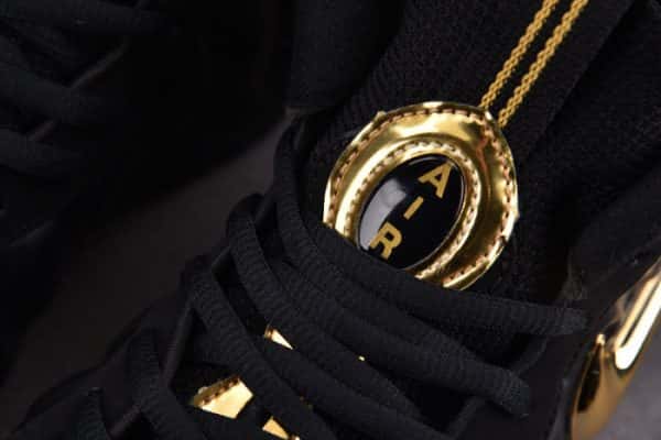 Nike Air Foamposite Pro Black Metallic Gold 624041-009
