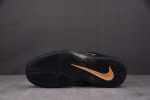 Nike Air Foamposite Pro Black Metallic Gold 624041-009