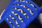 Air Jordan 12 ¡°Blueberry¡± Ct8013-140
