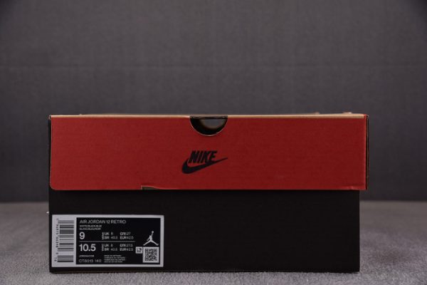 Air Jordan 12 ¡°Blueberry¡± Ct8013-140