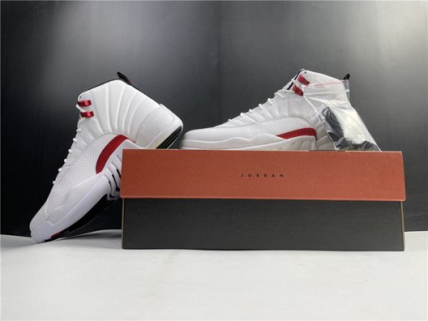 Air Jordan 12 "Twist" Ct8013-106