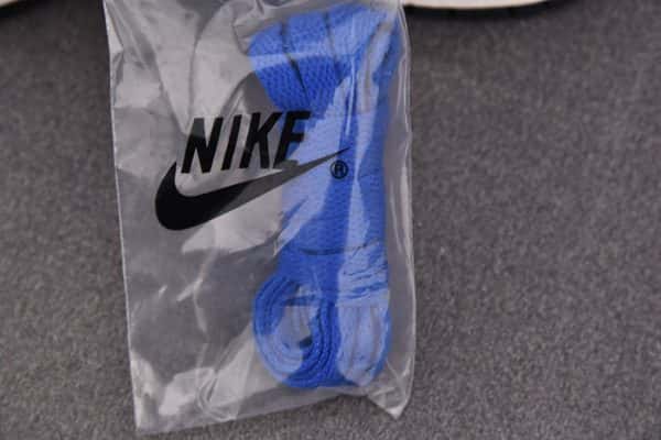 Nike Dunk Low Jackie Robinson Dv2122-400