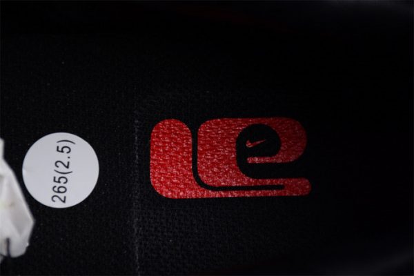 Nike Dunk Low Co.Jp 2023 Fj5434-120