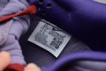 Nike Dunk Low Plum (2020) Cu1726-500