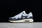 Nike Air Max 1 Patta Waves Monarch Dh1348-002