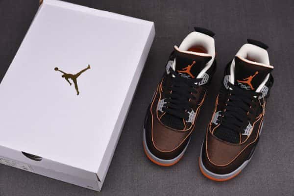 Air Jordan 4 Wmns Starfish Cw7183-100