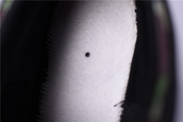 Nike Air Max 97 "Country Camo Japan" Aj2614-203