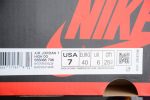 Air Jordan 1 Brotherhood 555088-706