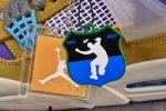 Union X Air Jordan 4 ¡°Desert Moss¡± Dj5718-300