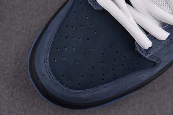 Nike Sb Dunk Low Concepts Blue Lobster 313170-342