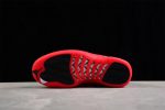 Air Jordan 12 Cherry Ct8013-116