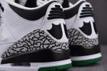 Air Jordan 3 Retro Oregon Ducks Pit Crew White 594282233