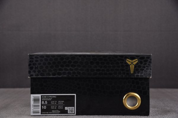 Nike Kobe 6 Protro "Dodgers" CW2190-400