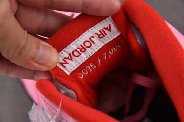 Jordan 5 Retro Awake NY Arctic Pink DV4982-600