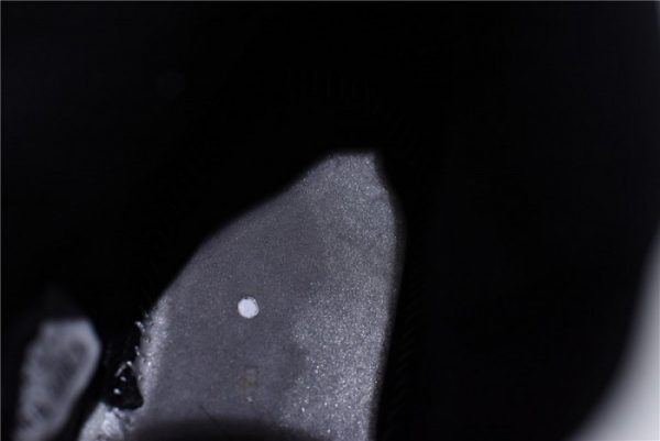 Air Jordan 1 Court Purple 555088-501