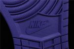 Air Jordan 1 Court Purple 555088-501