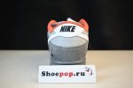 Nike Dunk Sb Low ¡°Staple Nyc Pigeon¡± 304292-011