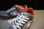 Nike Dunk Sb Low ¡°Staple Nyc Pigeon¡± 304292-011