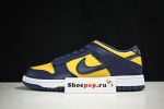 Nike Dunk Low Michigan Dd1391-700