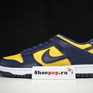 Nike Dunk Low Michigan Dd1391-700