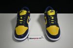 Nike Dunk Low Michigan Dd1391-700