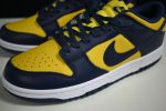 Nike Dunk Low Michigan Dd1391-700