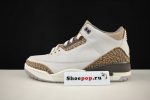 Air Jordan 3 Palomino Ct8532-102