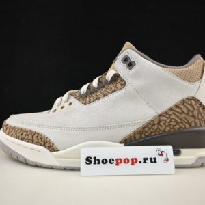 Air Jordan 3 Palomino Ct8532-102