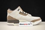Air Jordan 3 Palomino Ct8532-102