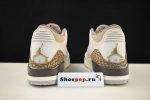 Air Jordan 3 Palomino Ct8532-102