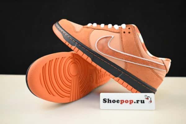 Nike Sb Dunk Low Concepts Orange Lobster Fd8776-800