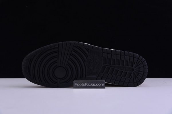 Air Jordan 1 Rookie Of The Year 555088-700