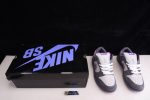 Nike Dunk Low Pro Sb ''Purple Pigeon'' 304292-051