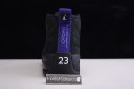 Air Jordan 12 Black Dark Concord Ct8013-005