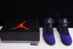 Air Jordan 5 Alternate Grape 136027-500