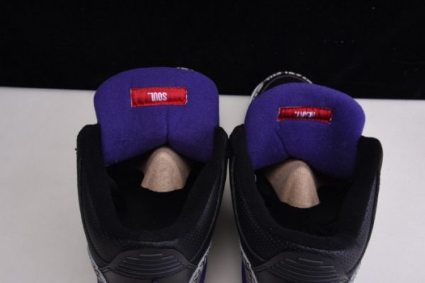 Air Jordan 3 Retro ''Court Purple'' Ct8532-050