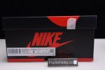 Air Jordan 1 Retro High Light Smoke Grey 555088-126