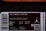 Air Jordan 12 Field Purple Ct8013-057