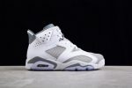 Air Jordan 6 "Cool Grey" Ct8529-100