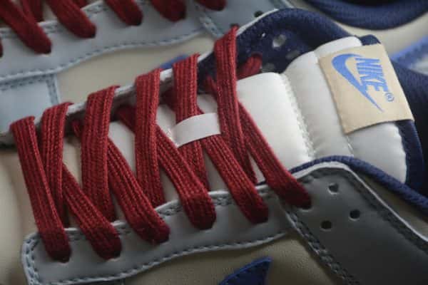 Nike Dunk Low From Nike To You Fv8113-141