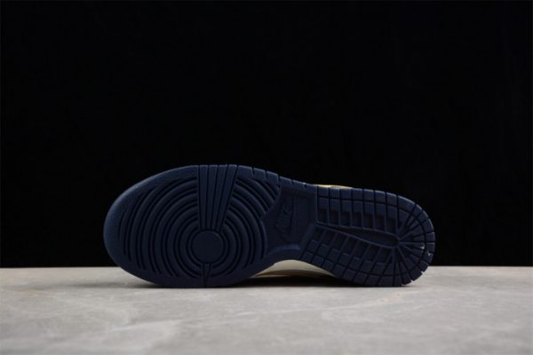 Nike Dunk Low "From Nike To You" Fv8106-181