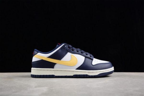 Nike Dunk Low "From Nike To You" Fv8106-181