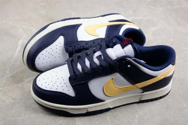 Nike Dunk Low "From Nike To You" Fv8106-181