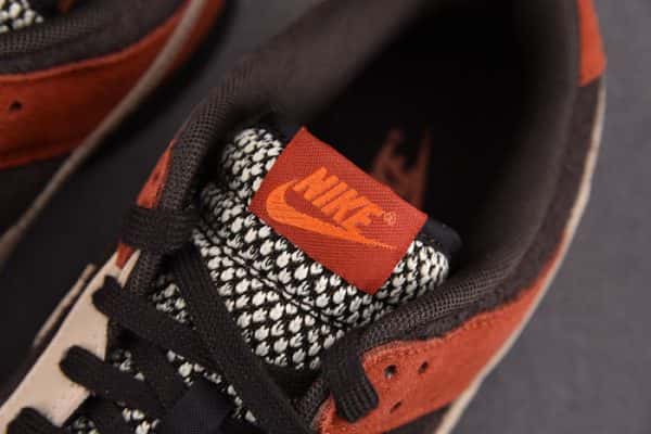 Nike Dunk Low Red Panda Fv0395-200
