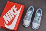 Nike Dunk Low Clear Blue Dh9765-401